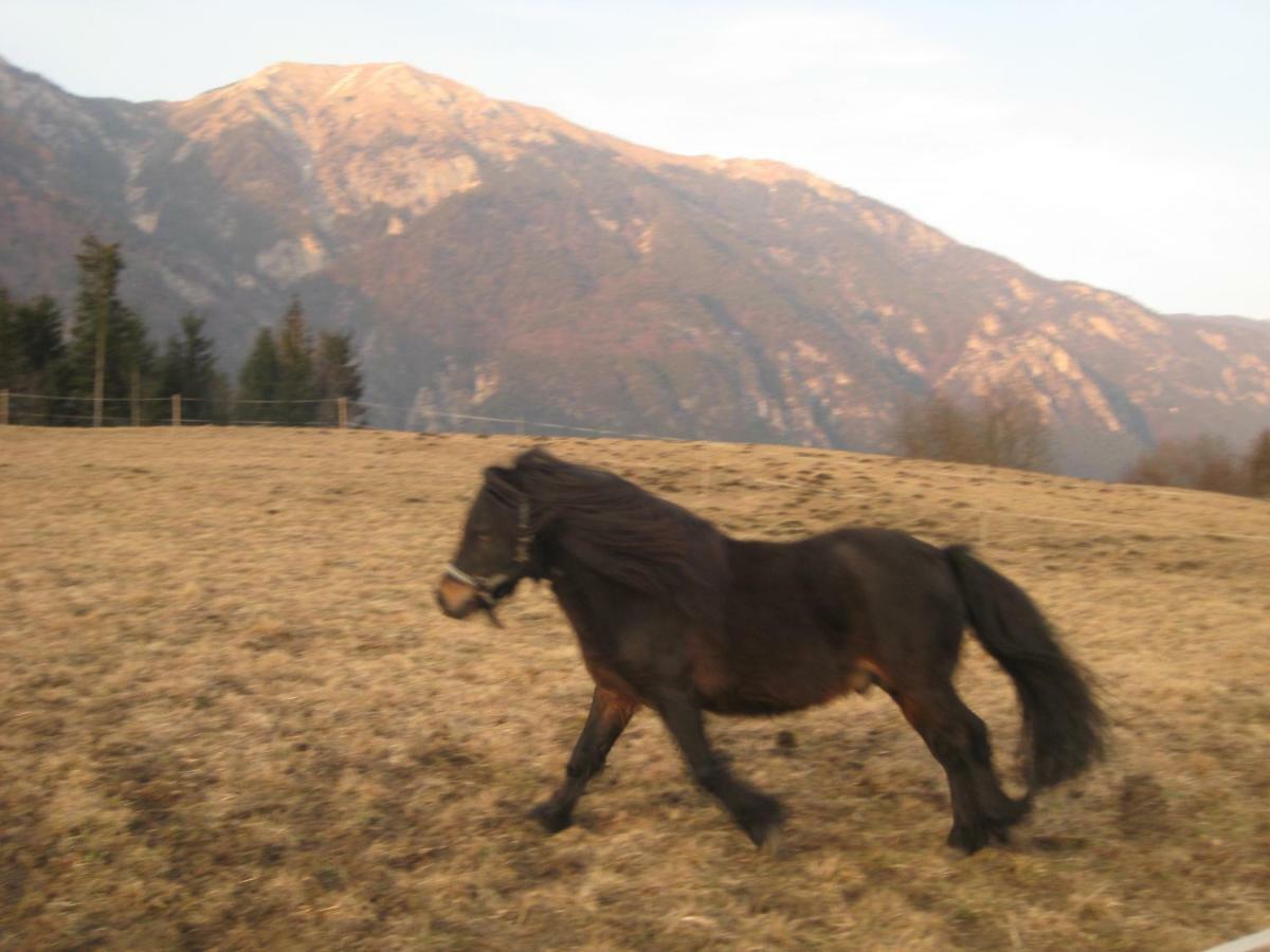 Haus Kaiser Passriach Luaran gambar